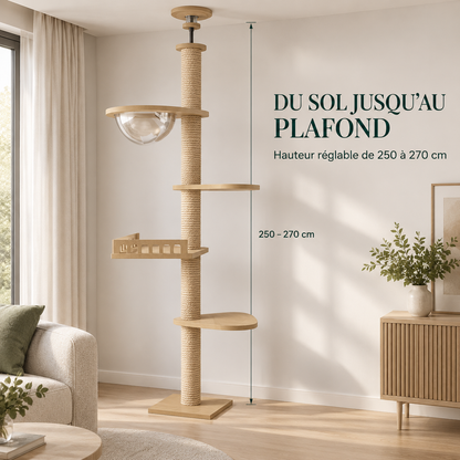 Arbre à chat sol plafond en bois naturel – Pawavo Canopy
