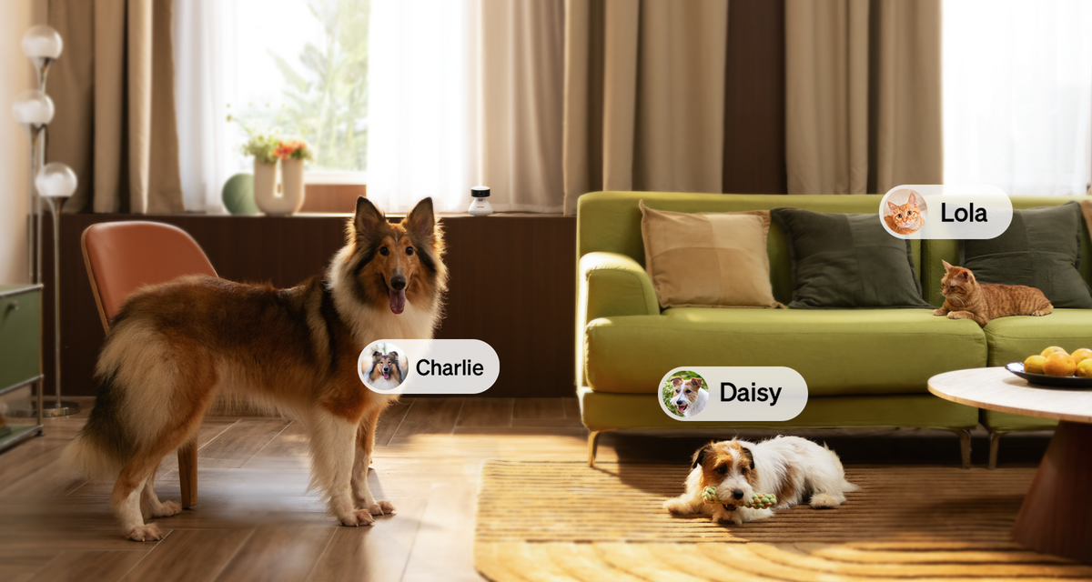 Scout Smart Pet Camera