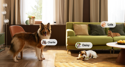 Scout Smart Pet Camera