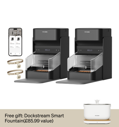 One RFID Smart Pet Feeder
