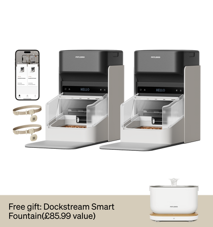 One RFID Smart Pet Feeder