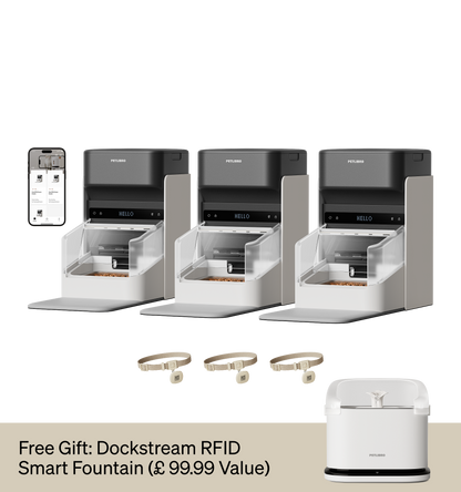 One RFID Smart Pet Feeder