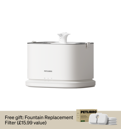 Dockstream 2 Smart Cat Fountain