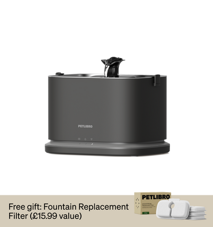 Dockstream 2 Smart Cat Fountain