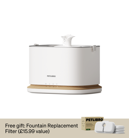 Dockstream 2 Smart Cat Fountain