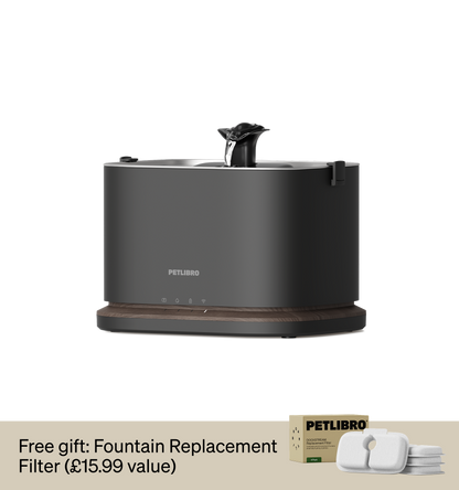 Dockstream 2 Smart Cat Fountain