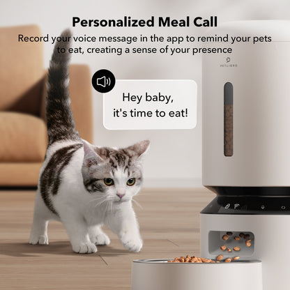 Granary Smart Pet Feeder