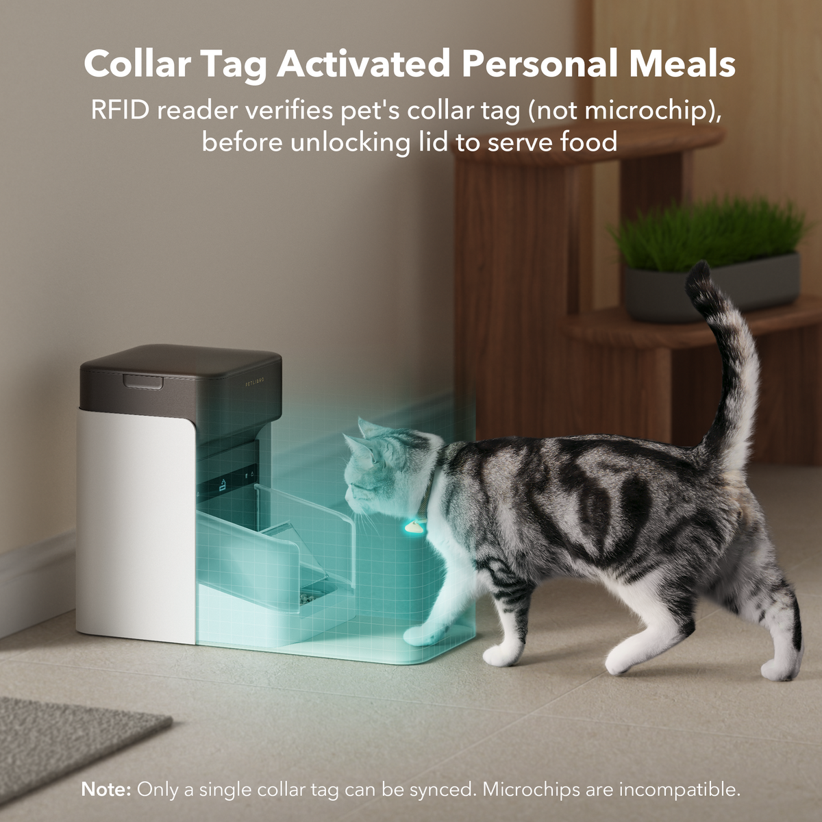 One RFID Smart Pet Feeder