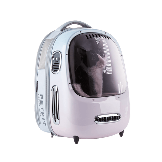 Breezy 2 Smart Cat Carrier – Gradient Pink Blue
