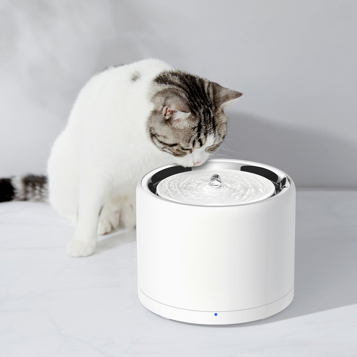 EverSweet 3 Pro UVC Water Fountain
