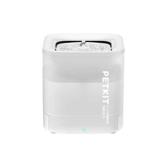 EverSweet Solo SE Pet Water Fountain