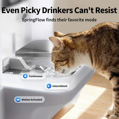 EverSweet Ultra Smart Water Fountain